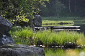 Der Taubensee Bild 2