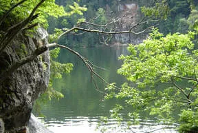 Der Taubensee