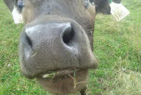 Rundum Bild 7